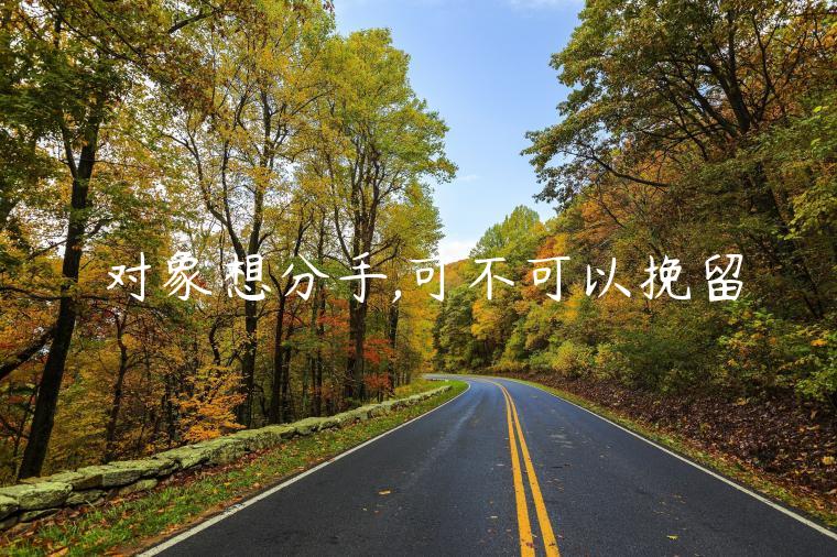 對象想分手,可不可以挽留