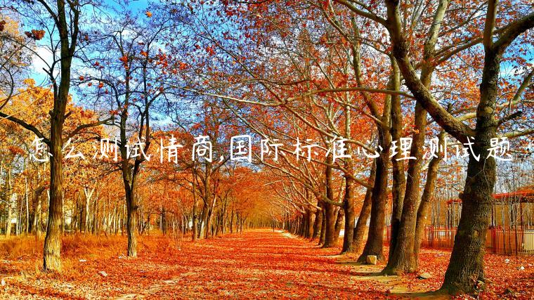 怎么測試情商,國際標準心理測試題