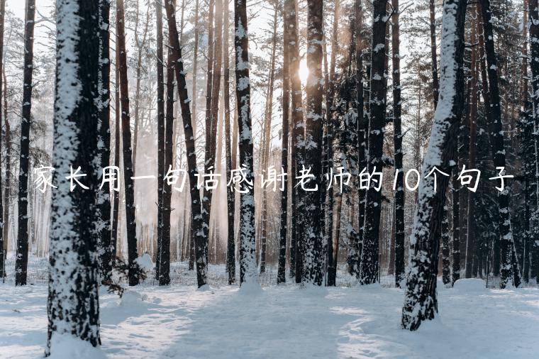 家長(zhǎng)用一句話(huà)感謝老師的10個(gè)句子