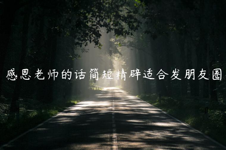 感恩老師的話簡短精辟適合發朋友圈