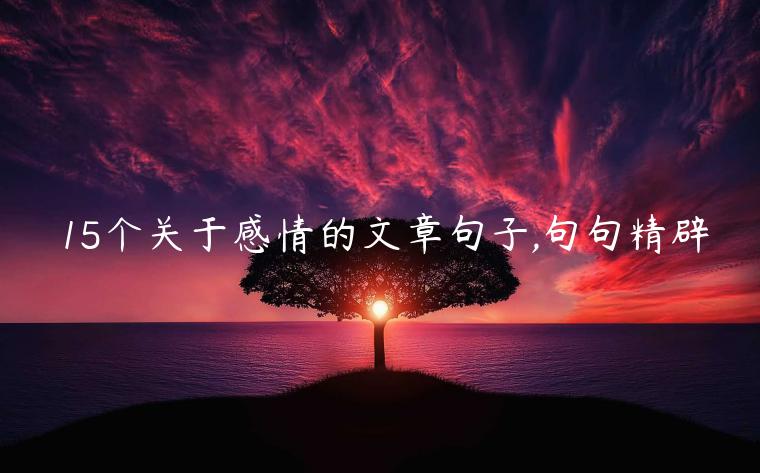 15個關于感情的文章句子,句句精辟
