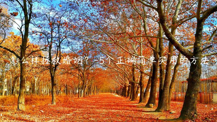 怎么樣拯救婚姻？-5個正確簡單實用的方法