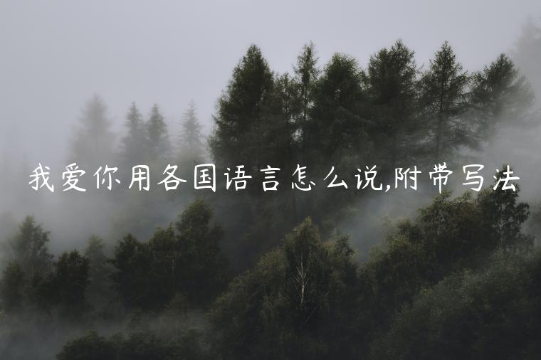 我愛你用各國(guó)語(yǔ)言怎么說(shuō),附帶寫法