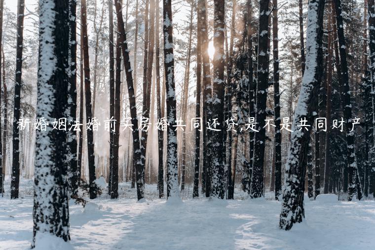新婚姻法婚前買房婚共同還貸,是不是共同財產