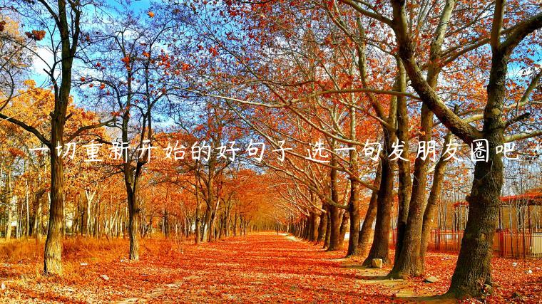 一切重新開始的好句子 選一句發朋友圈吧