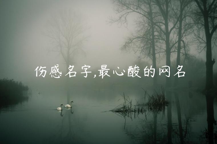 傷感名字,最心酸的網名