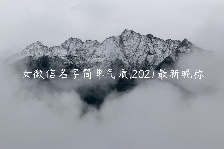 女微信名字簡單氣質,2021最新昵稱