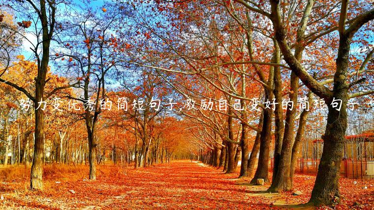 努力變優秀的簡短句子,激勵自己變好的簡短句子