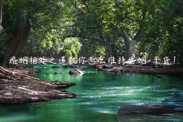 婚姻相處之道教你怎么維持婚姻-干貨！