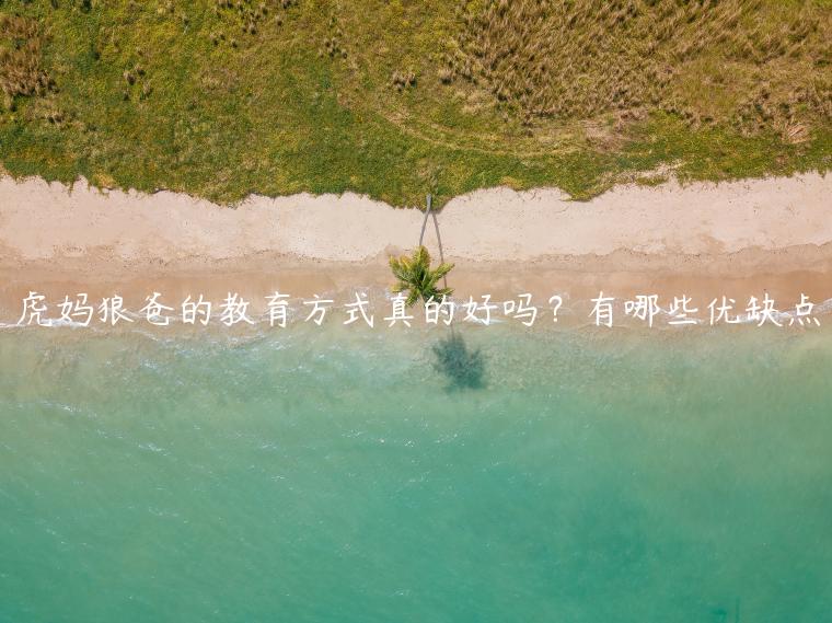 虎媽狼爸的教育方式真的好嗎？有哪些優缺點