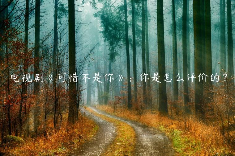 電視劇《可惜不是你》：你是怎么評(píng)價(jià)的？