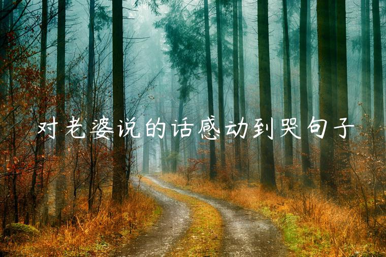 對(duì)老婆說(shuō)的話感動(dòng)到哭句子