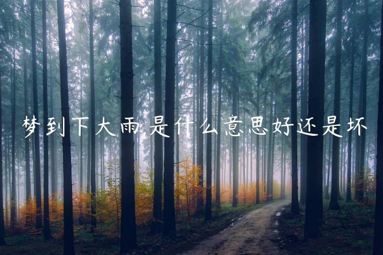 夢到下大雨,是什么意思好還是壞