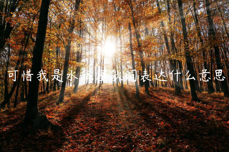 可惜我是水瓶座歌詞表達什么意思