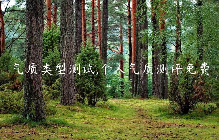 氣質類型測試,個人氣質測評免費