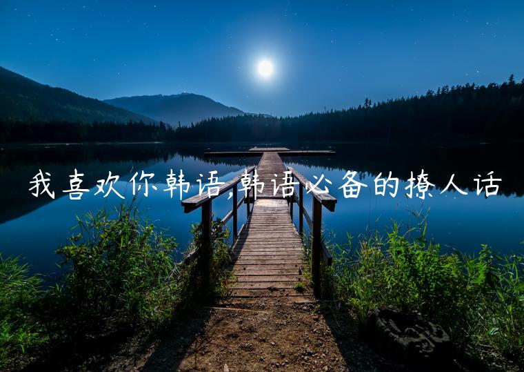 我喜歡你韓語,韓語必備的撩人話