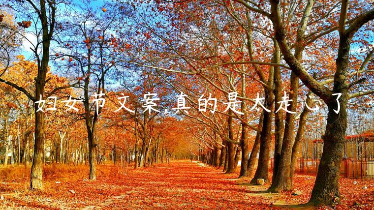 婦女節文案,真的是太走心了