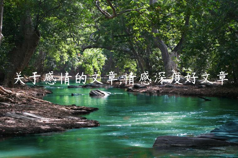 關于感情的文章,情感深度好文章