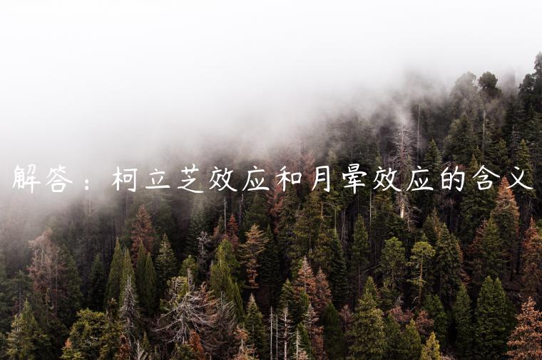 解答：柯立芝效應和月暈效應的含義