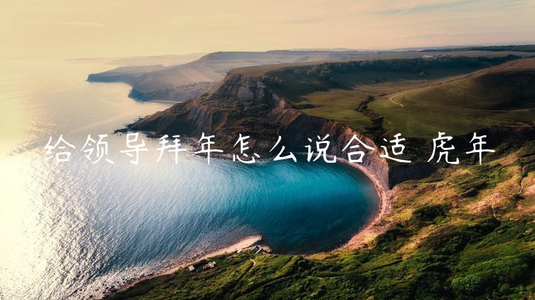 給領導拜年怎么說合適 虎年