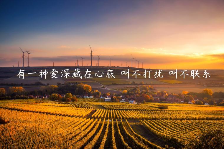 有一種愛深藏在心底 叫不打擾 叫不聯系