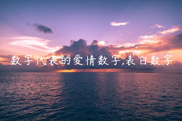 數字代表的愛情數字,表白數字