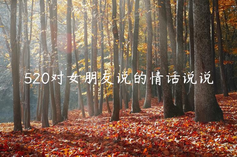 520對女朋友說的情話說說
