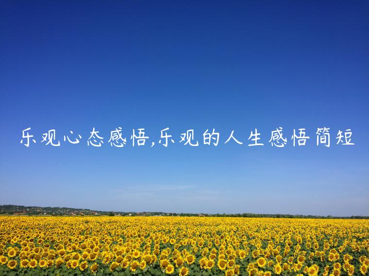 樂觀心態(tài)感悟,樂觀的人生感悟簡短