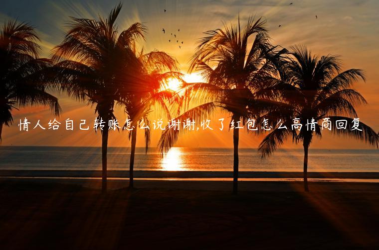 情人給自己轉賬怎么說謝謝,收了紅包怎么高情商回復