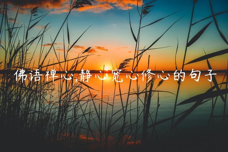 佛語禪心,靜心寬心修心的句子