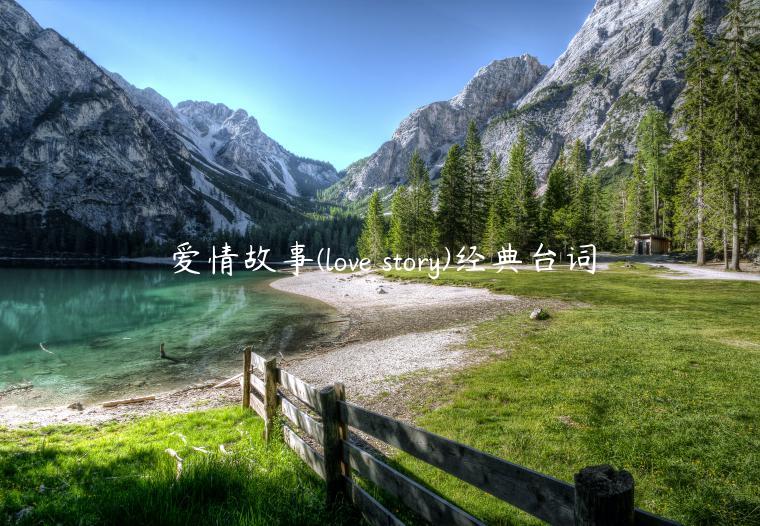 愛情故事(love story)經典臺詞