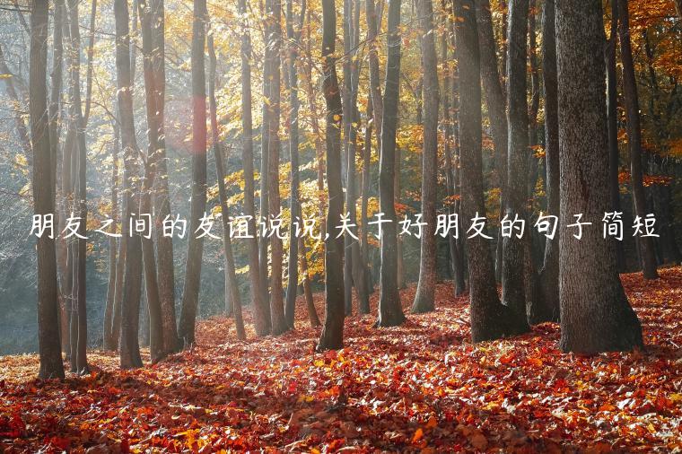 朋友之間的友誼說說,關于好朋友的句子簡短