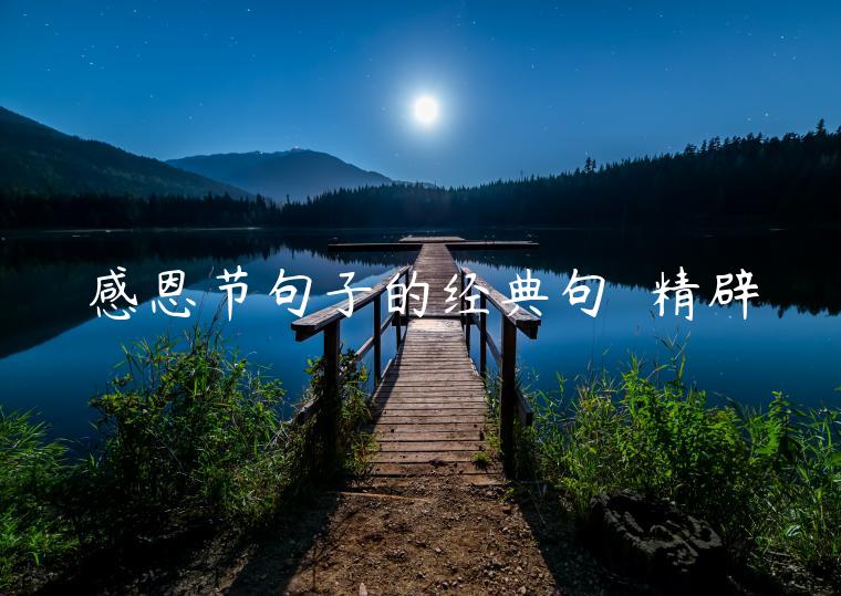 感恩節句子的經典句  精辟