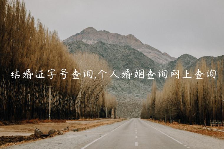 結婚證字號查詢,個人婚姻查詢網上查詢