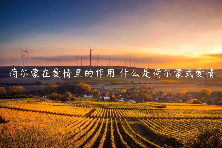 荷爾蒙在愛情里的作用 什么是荷爾蒙式愛情