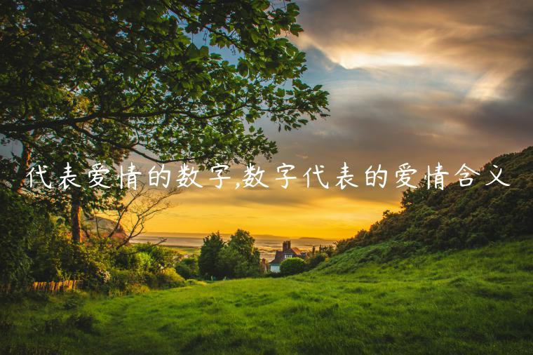 代表愛情的數字,數字代表的愛情含義