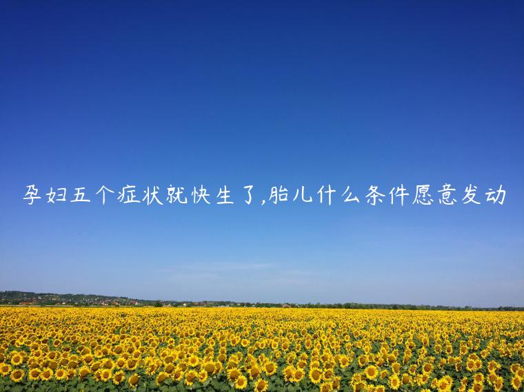 孕婦五個癥狀就快生了,胎兒什么條件愿意發(fā)動
