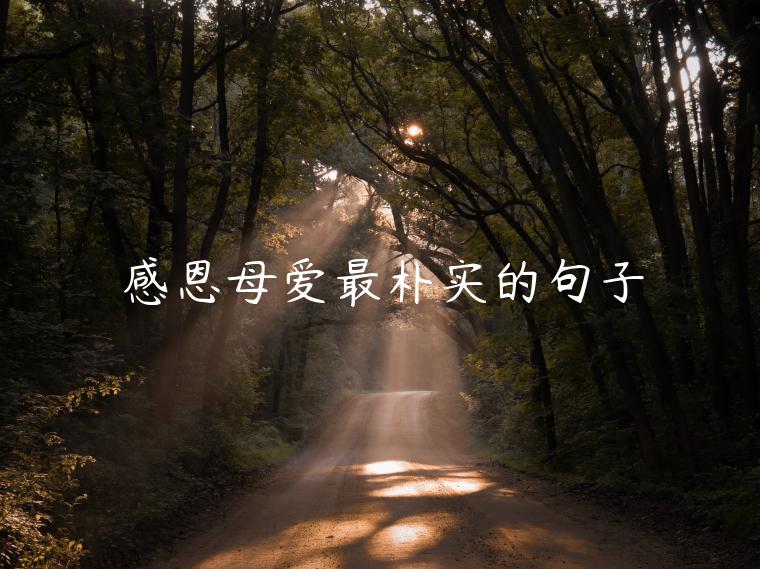 感恩母愛(ài)最樸實(shí)的句子