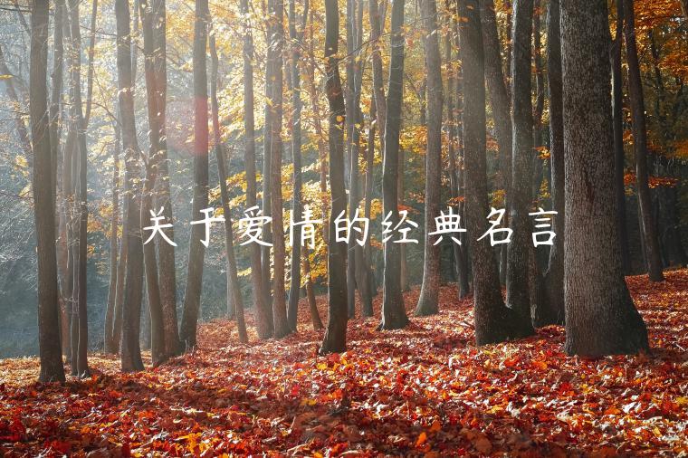 關于愛情的經典名言