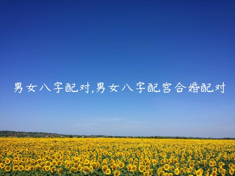 男女八字配對,男女八字配宮合婚配對