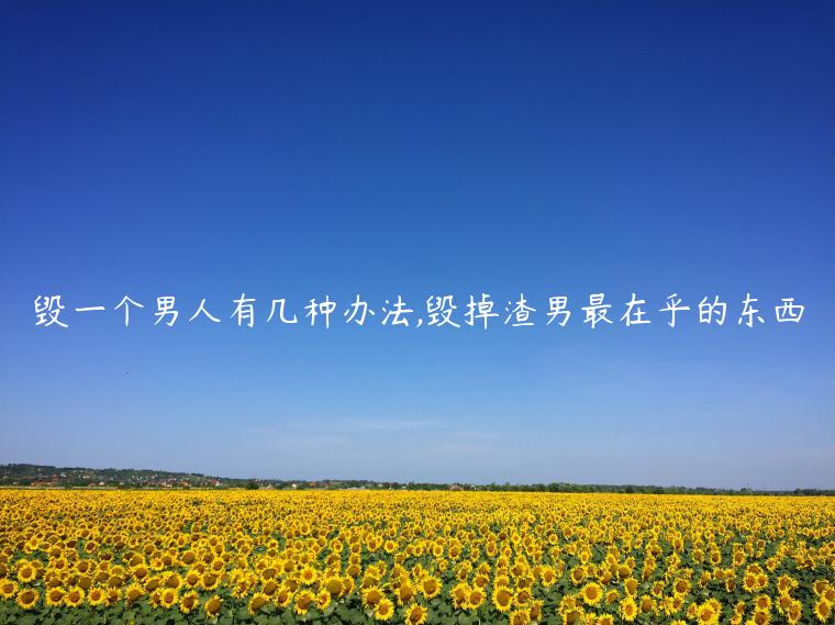 毀一個男人有幾種辦法,毀掉渣男最在乎的東西
