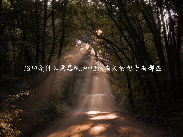 1314是什么意思啊,和1314有關的句子有哪些