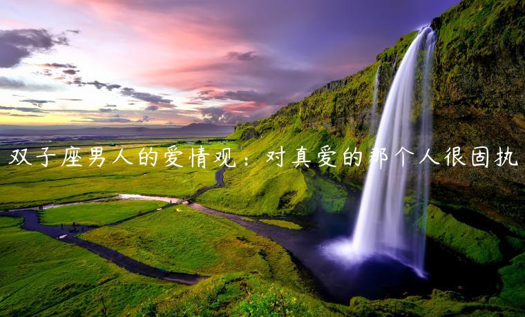 雙子座男人的愛情觀：對真愛的那個人很固執