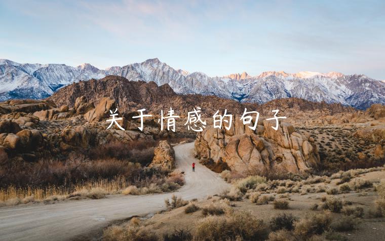 關于情感的句子