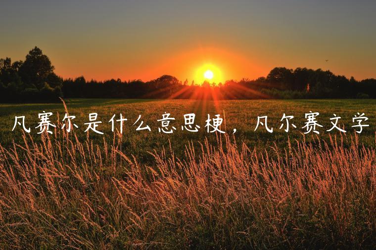 凡賽爾是什么意思梗，凡爾賽文學(xué)