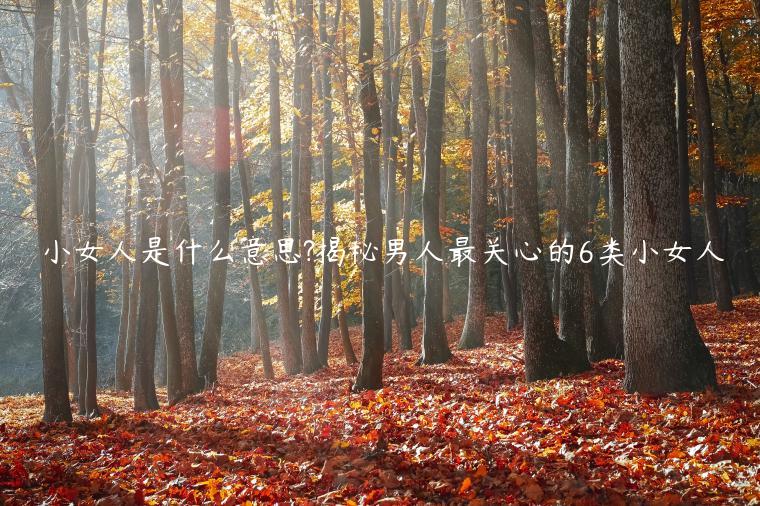 小女人是什么意思?揭秘男人最關心的6類小女人