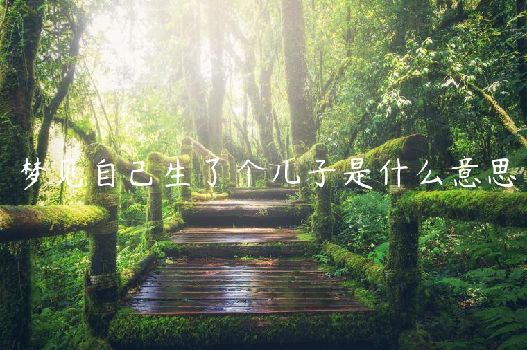 夢見自己生了個兒子是什么意思