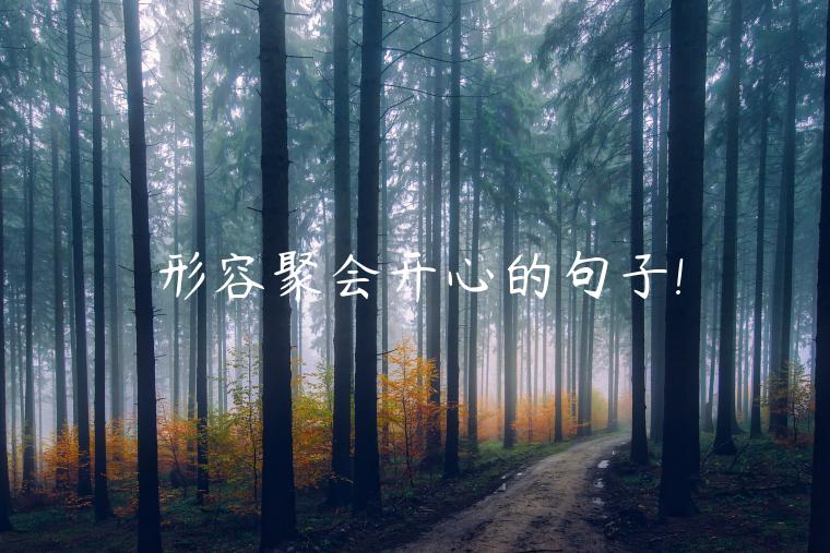 形容聚會(huì)開心的句子!