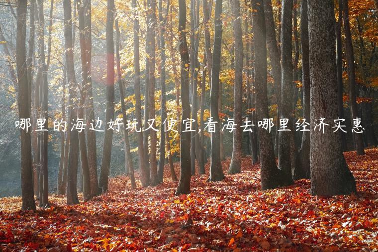 哪里的海邊好玩又便宜,看海去哪里經濟實惠