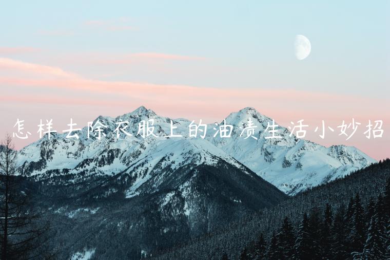 怎樣去除衣服上的油漬生活小妙招